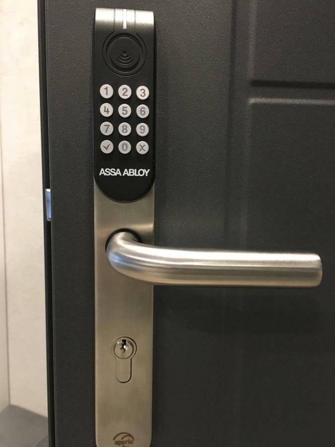 Viva * Krakau